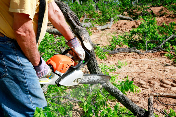 Best Commercial Tree Services  in Cushing, OK